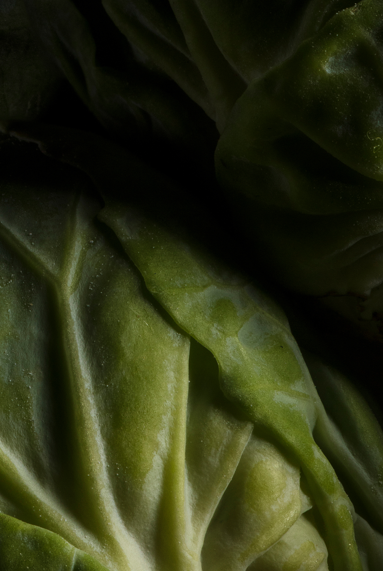 美食摄影 ｜ 「Portrait of food」· 食物肖像（图ZMTY5MzIxMTIw） - 产品摄影 - 站酷设计师大秉创意原创素材 - 站酷ZCOOL