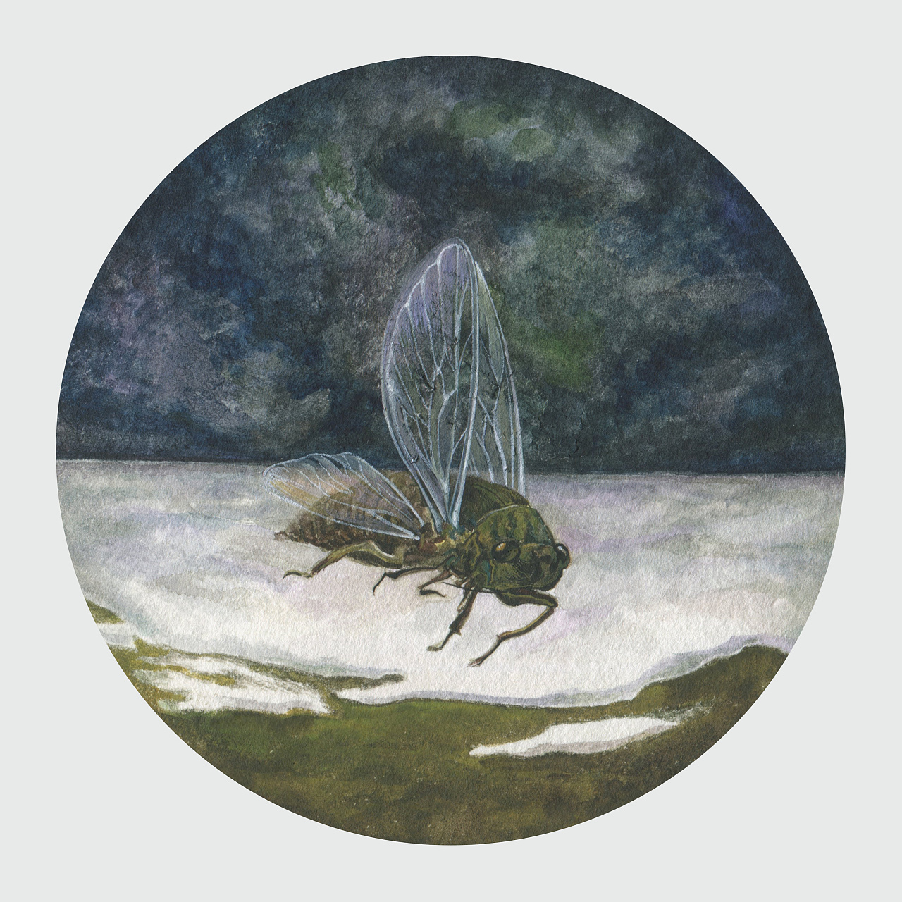 冬蝉|纯艺术|绘画|6十6 - 原创作品 - 站酷 (zcool)