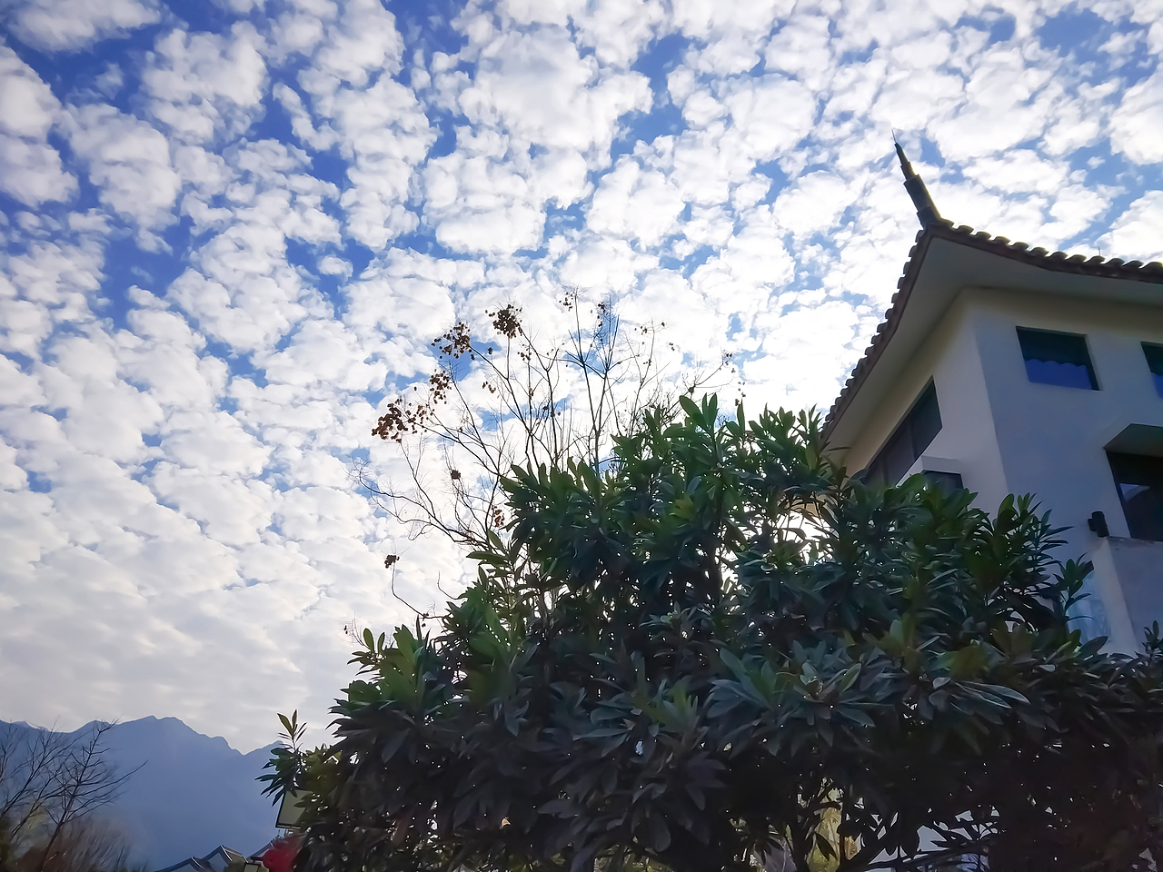 抬頭看下凍碎的云（圖ZMTQwNzk0MTEy） - 風(fēng)光攝影 - 站酷設(shè)計(jì)師kevin6827原創(chuàng)素材 - 站酷ZCOOL