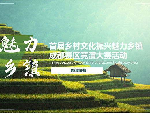 城市首届乡村文化振兴魅力乡镇竞演大赛活动策划方案