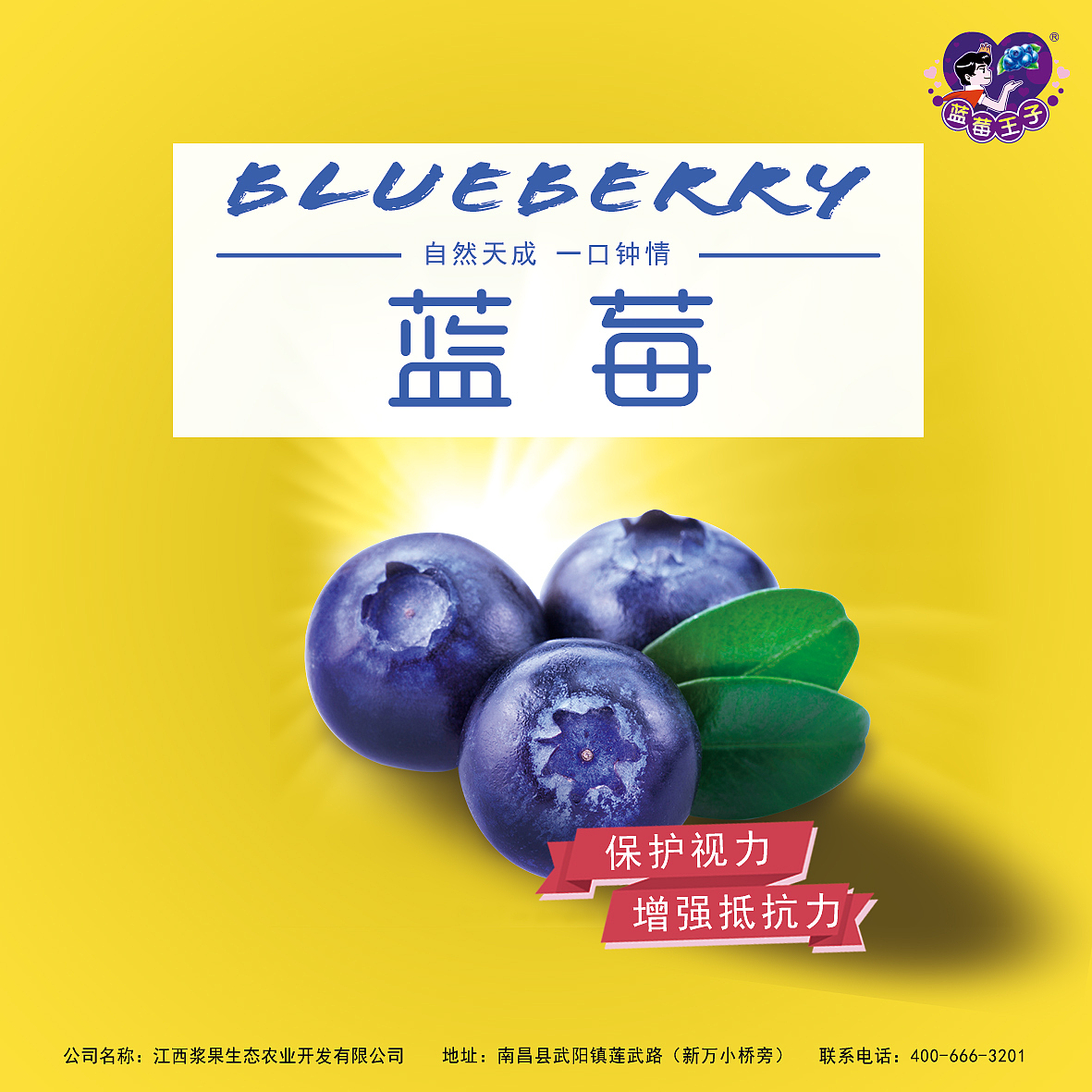 桑椹包装盒标贴设计