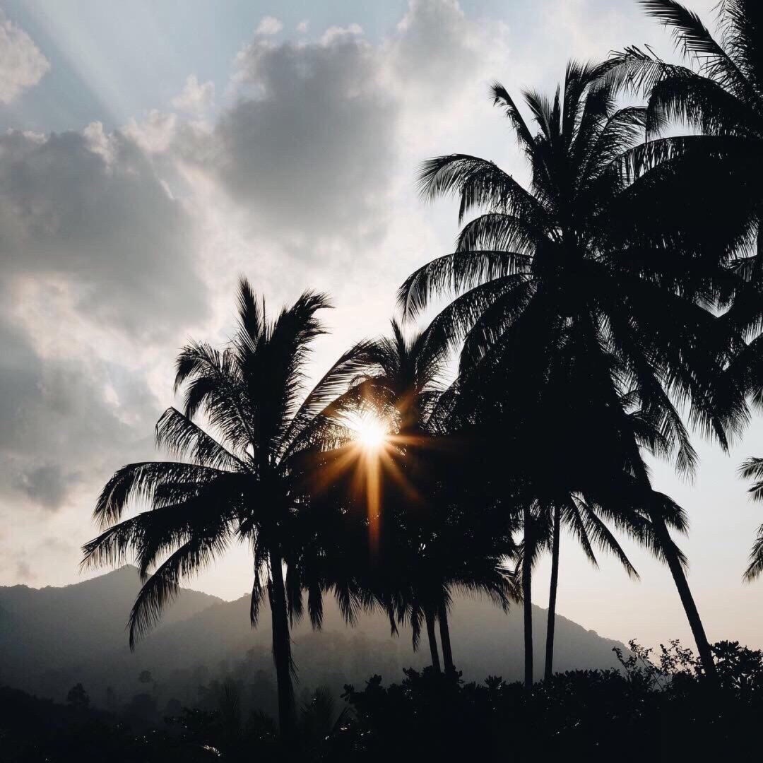 落山了的個人主頁（背景預覽） - 主頁背景設置 - 站酷設計師落山了原創(chuàng)素材 - 站酷ZCOOL