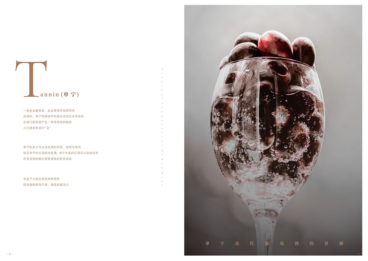 红酒产品画册