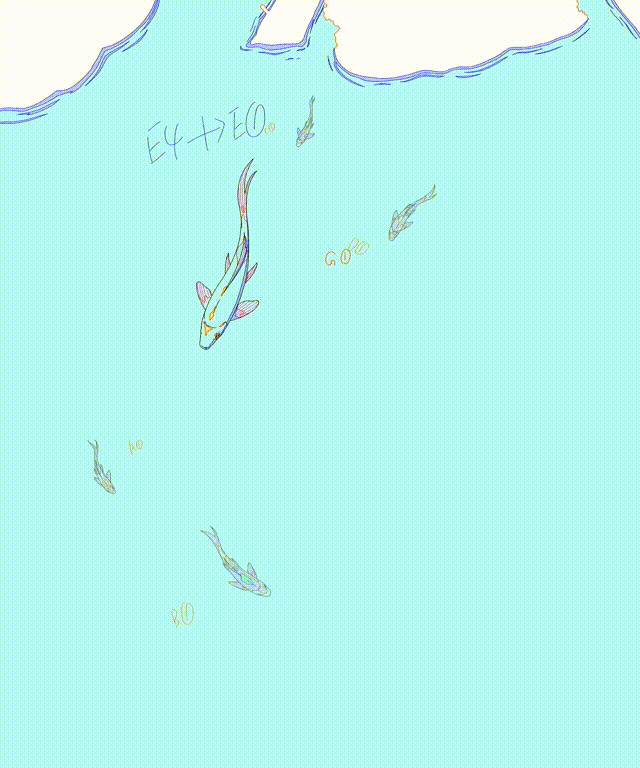 锦鲤(二原动画)