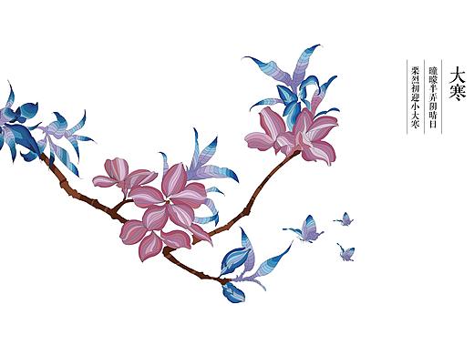 二十四节气之花