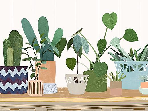 多肉盆景盆栽植物插画（个人主页-ZMjgwODgwNDQ=） - 商业插画 - 站酷设计师momua原创素材 - 站酷ZCOOL