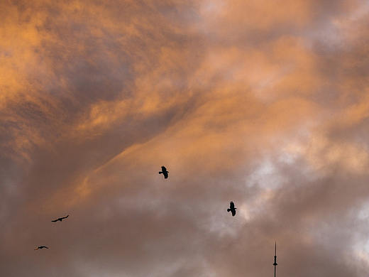 [二零二零]日出日暮