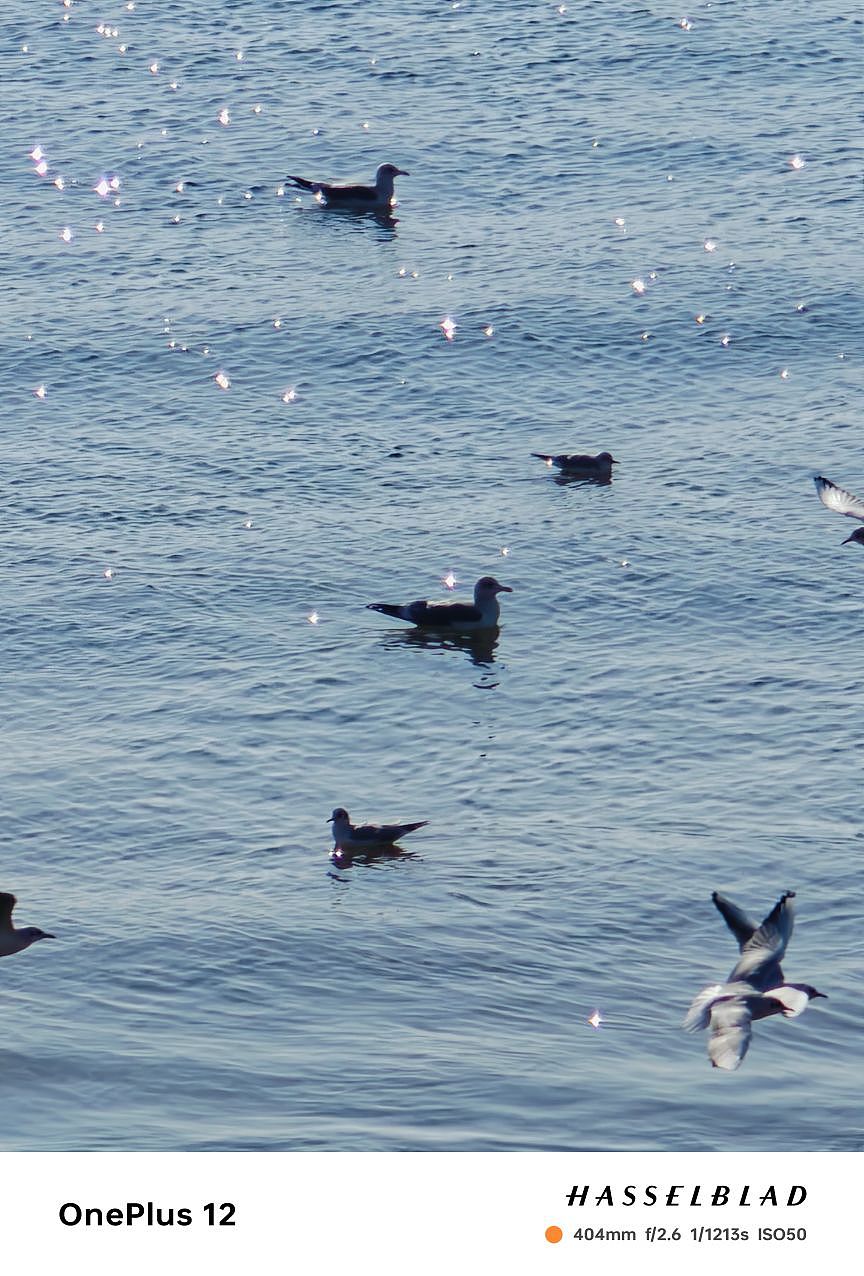 青岛真的是一个特别浪漫的城市