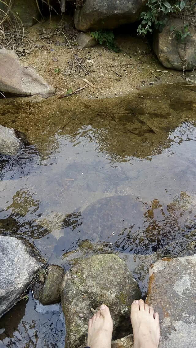 老家悠闲时光(家乡的气息)