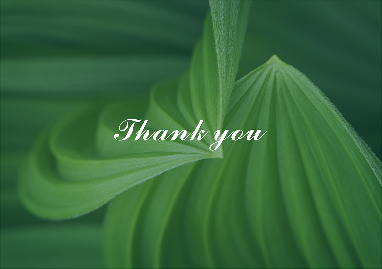 颜禧美汇 · HIQUEEN BEAUTY-三明品牌设计