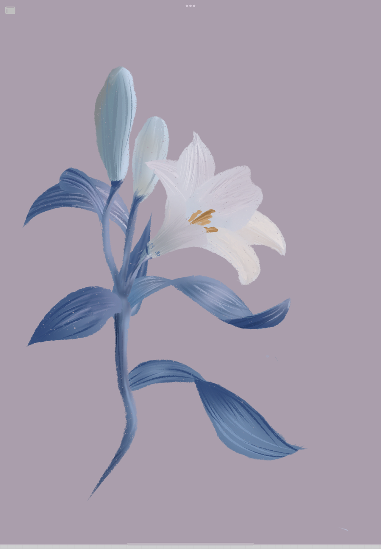 如花如夏（图ZMzAxMDk0NjU2） - 儿童插画 - 站酷设计师阿南吖原创素材 - 站酷ZCOOL