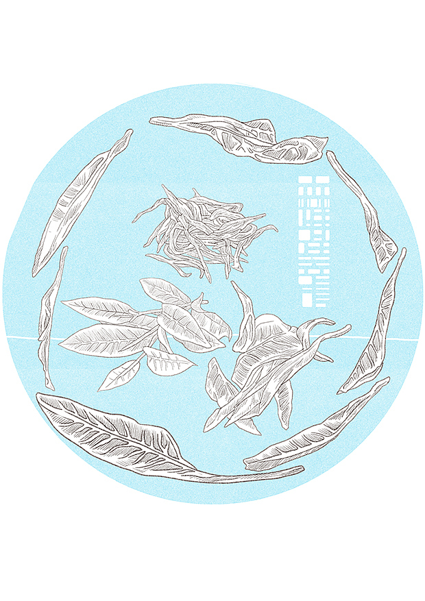 植物与我们的关系充满了秘密式的奇迹（图ZNzQ4OTAzMzI=） - 商业插画 - 站酷设计师森特笑虎原创素材 - 站酷ZCOOL