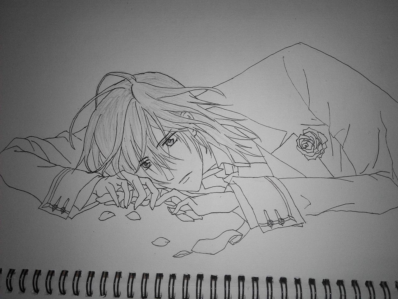 菜鸟手绘（图ZNDk5MjMyMDQ=） - 绘本 - 站酷设计师少年白与布偶猫原创素材 - 站酷ZCOOL