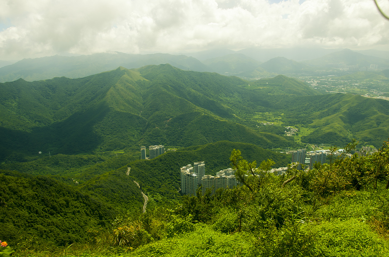 梧桐山 风景摄影