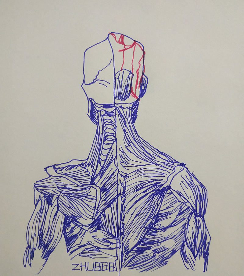 每日一画-04（2019年的作品）（图ZMjA4MjE4NTg4） - 绘画 - 站酷设计师zhl1988原创素材 - 站酷ZCOOL