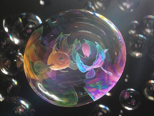 最后的生存希望—泡泡里的鱼（个人主页-ZNDMxMTAzMzY=） - 人物/生物 - 站酷设计师叶子_York原创素材 - 站酷ZCOOL