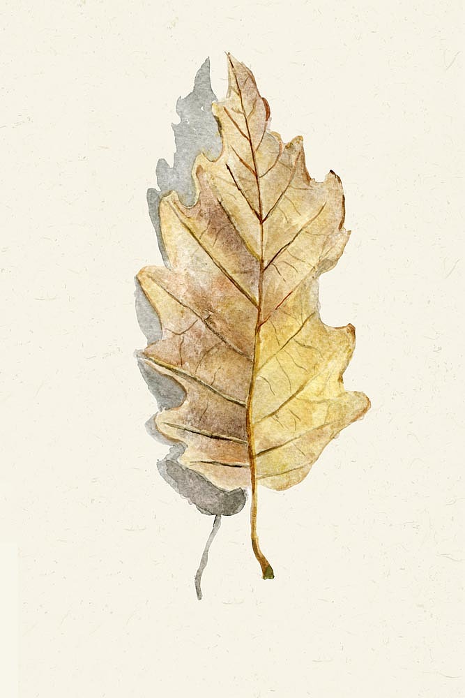 2022小清新香格里拉定制（图ZMjkwNzI5Mjc2） - 商业插画 - 站酷设计师窗帘图库原创素材 - 站酷ZCOOL