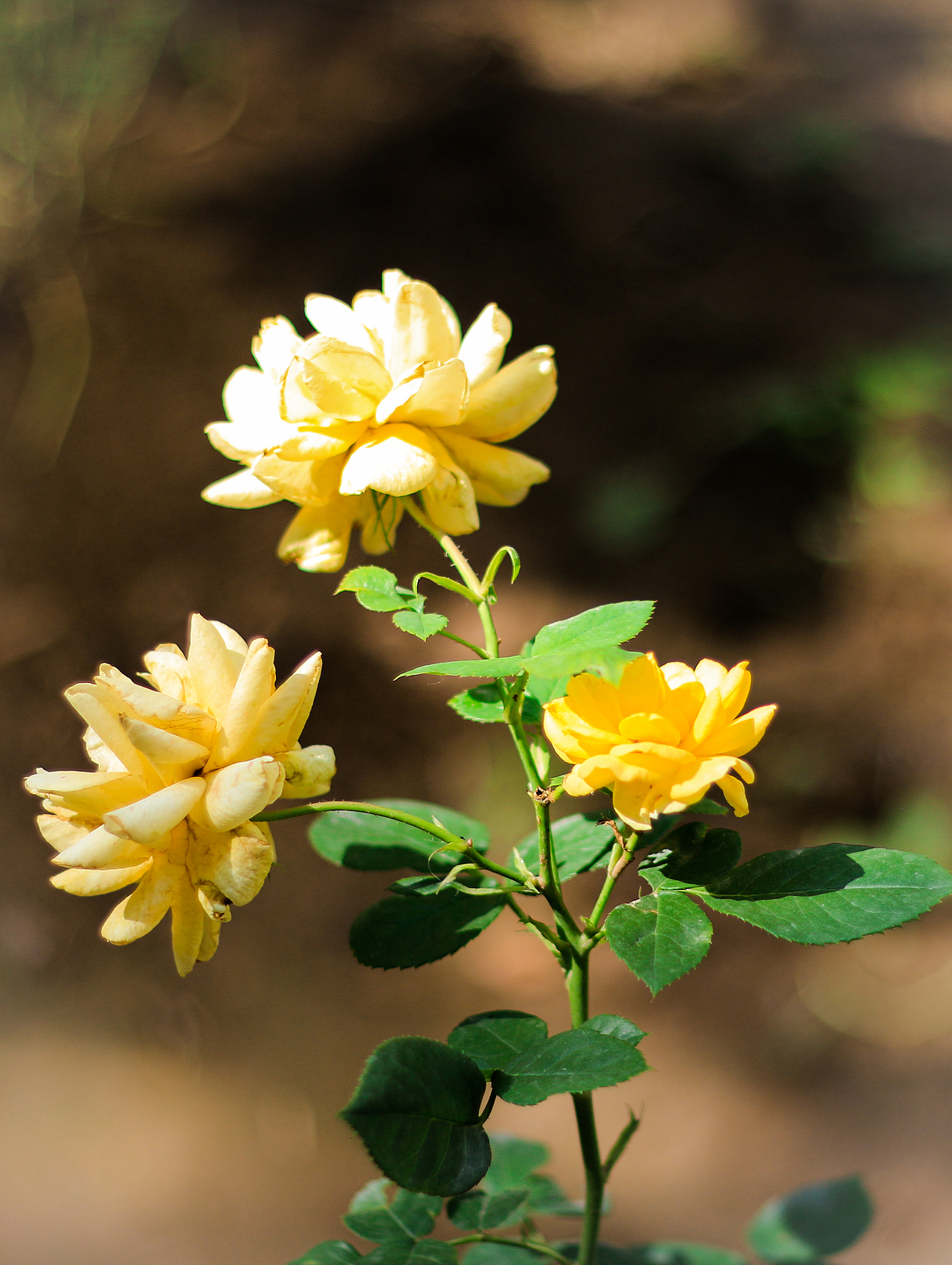 古色（图ZNDk5NDYyMDg=） - 其他摄影 - 站酷设计师Walker_Man原创素材 - 站酷ZCOOL