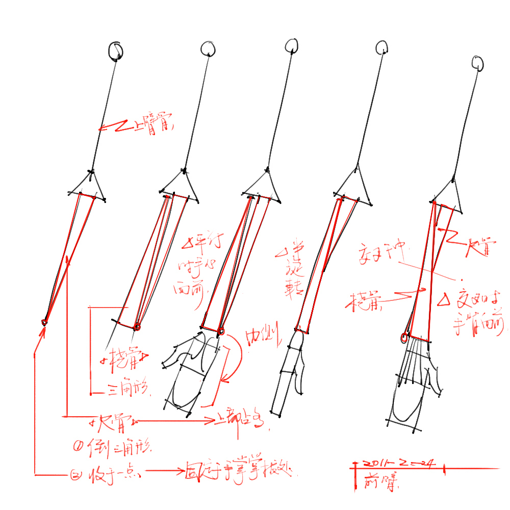 「素材」分享一波绘画专用人体解剖素材 part 05