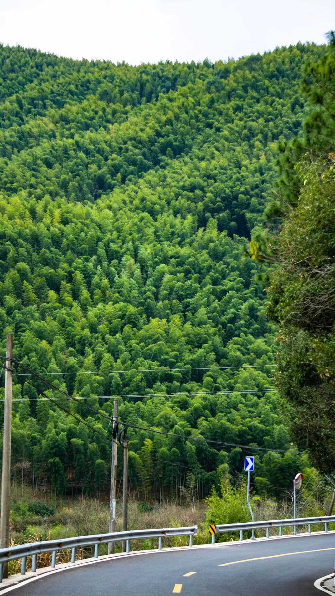 木說丶的個(gè)人主頁（背景預(yù)覽） - 主頁背景設(shè)置 - 站酷設(shè)計(jì)師木說丶原創(chuàng)素材 - 站酷ZCOOL