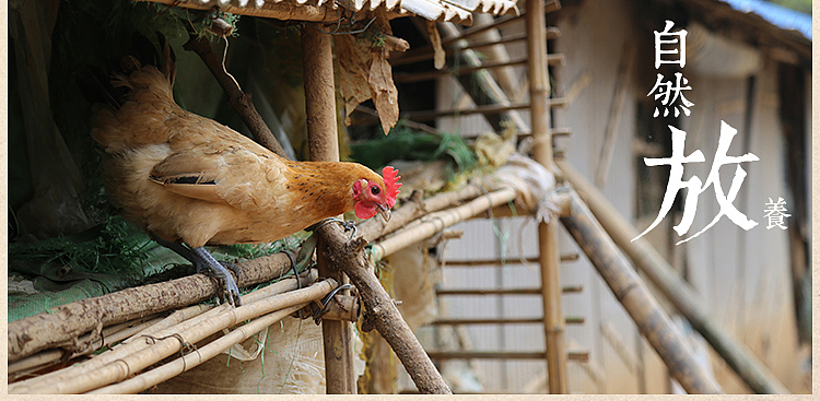 土鸡蛋详情（图ZMzQzNzQ3MzY=） - 电商 - 站酷设计师badiang原创素材 - 站酷ZCOOL