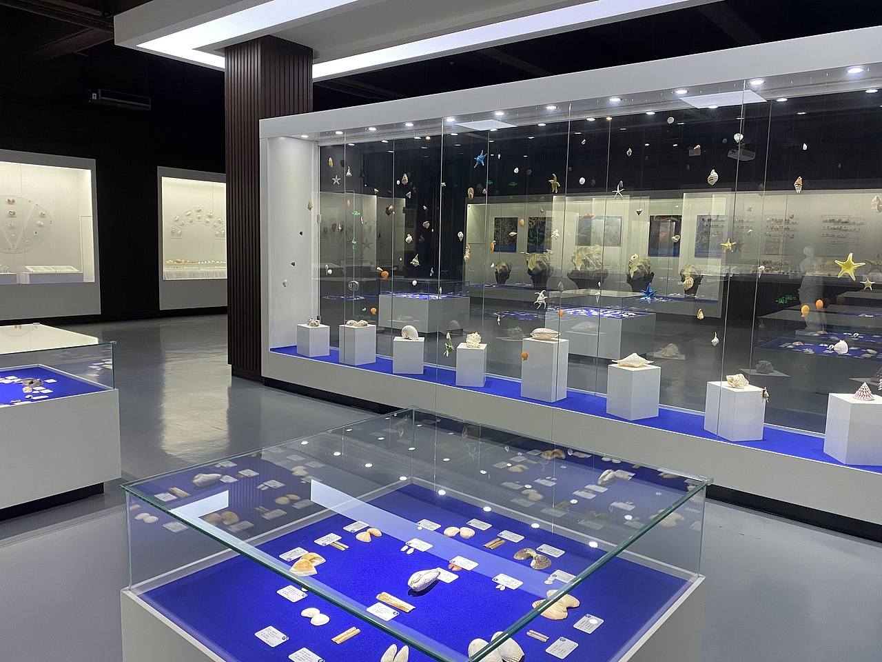 贝壳博物馆 乐园 VI LOGO 展板设计（图ZMjQ5MjA1ODE2） - 品牌 - 站酷设计师戈多创艺原创素材 - 站酷ZCOOL