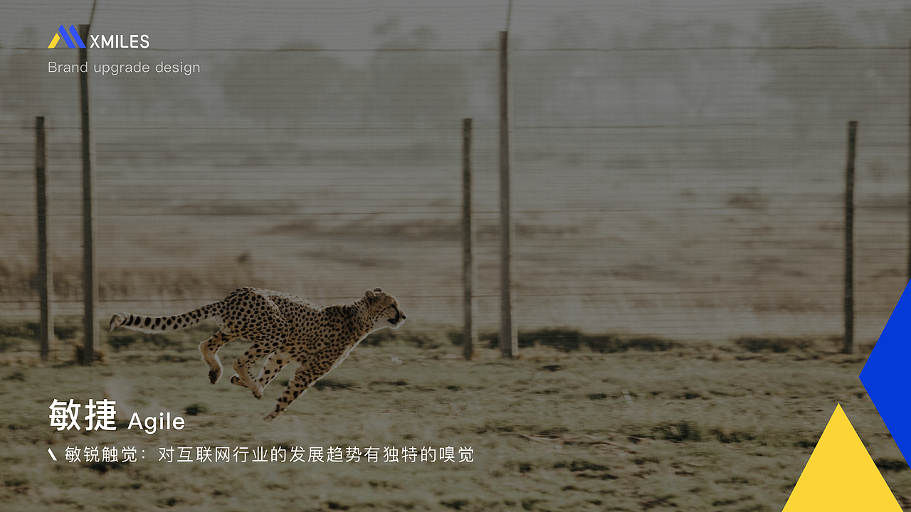 小迈品牌升级（图ZMTQ4Nzc1MDIw） - 品牌 - 站酷设计师真阿铭原创素材 - 站酷ZCOOL