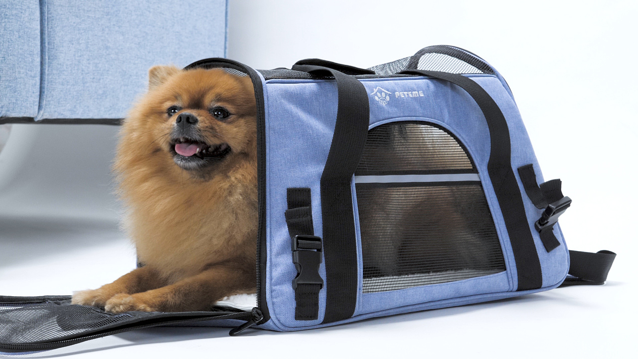 宠物袋亚马逊视频宠物用品拍摄东莞产品视频制作