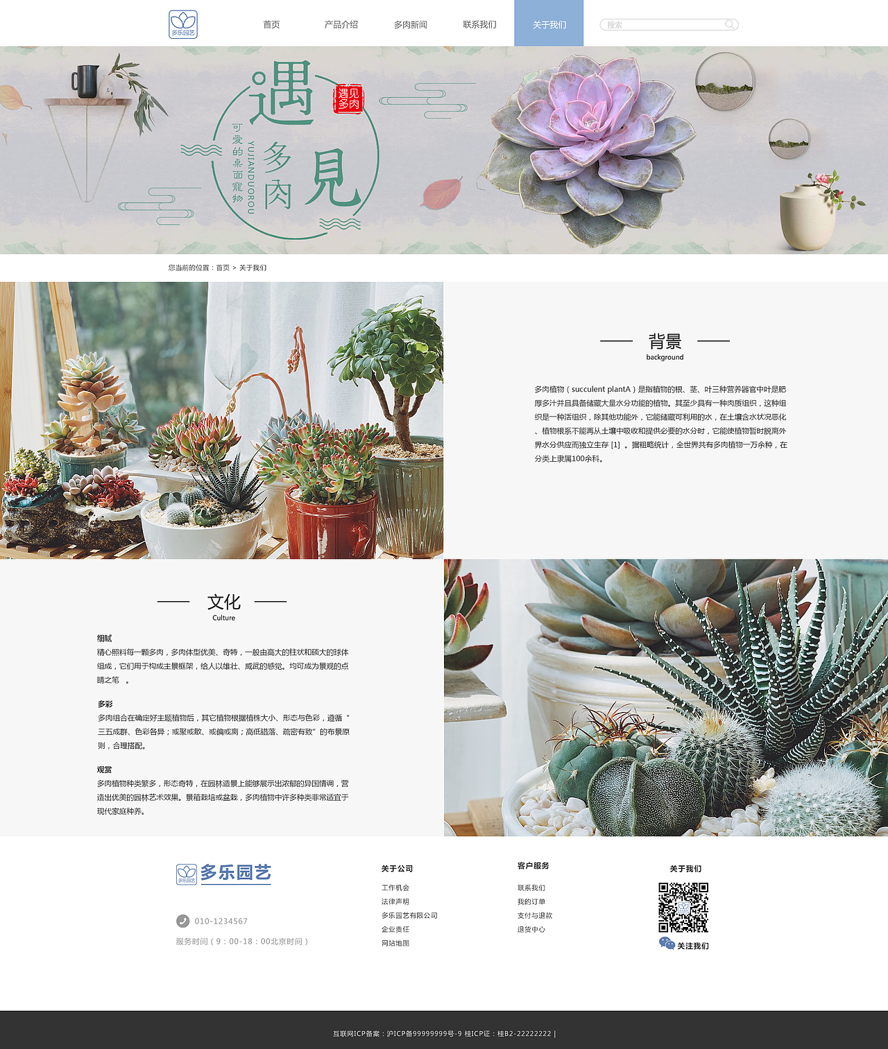 多肉网站（图ZMTY0NTM2Njc2） - 企业官网 - 站酷设计师Momo菟菟原创素材 - 站酷ZCOOL