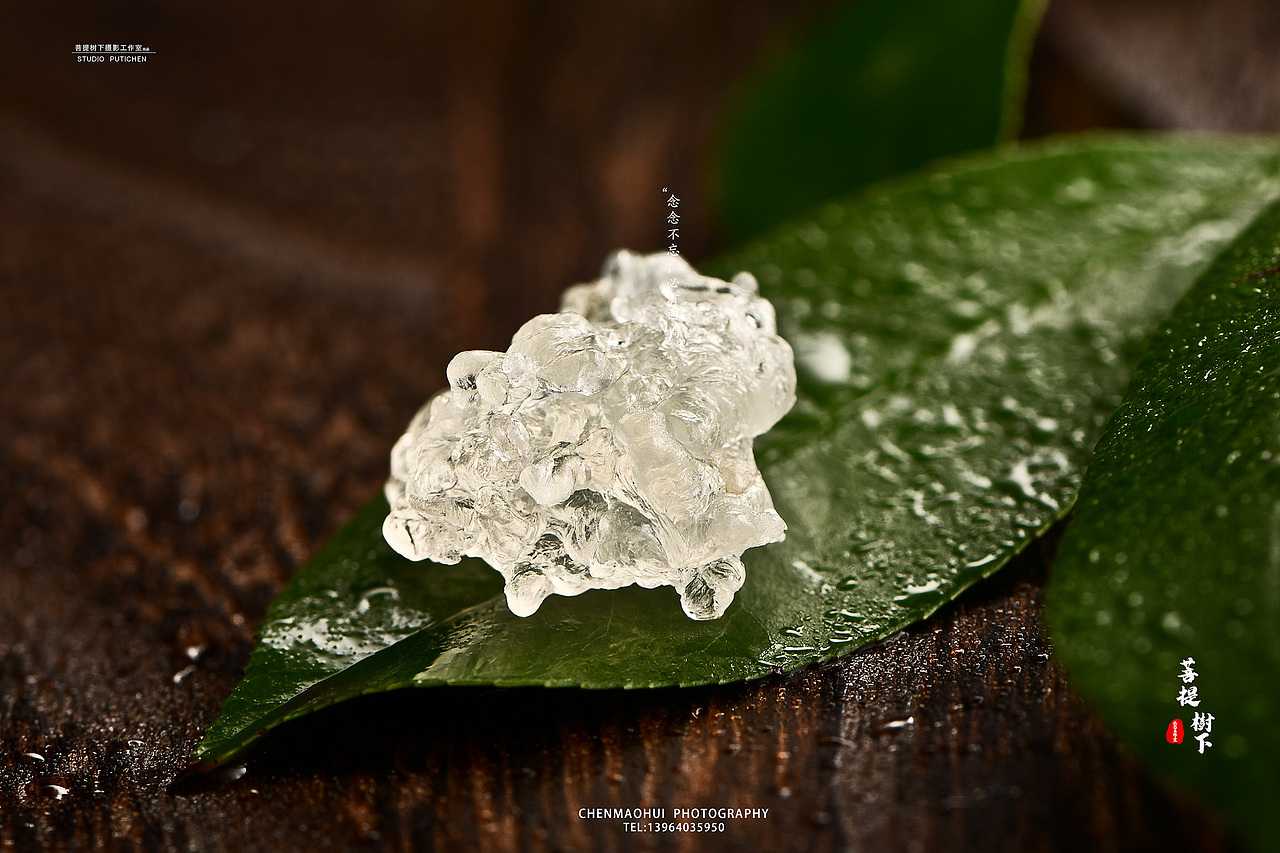 雪燕（图ZMjAwNDg1MDQ4） - 产品摄影 - 站酷设计师摄影师陈茂辉原创素材 - 站酷ZCOOL