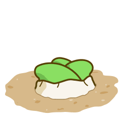 葱头表情第二弹