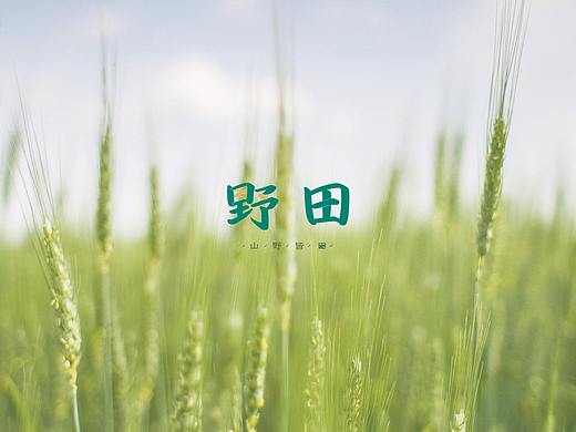 野田VI