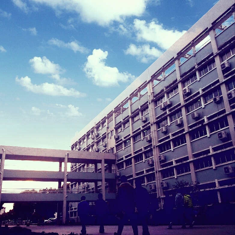 那一年，我的校园，我们的月亮岛