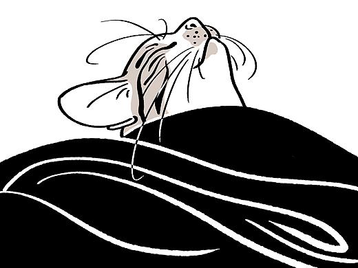 猫来猫往（个人主页-ZMzUwODgyODQ=） - 创作习作 - 站酷设计师左手温妮Winnie原创素材 - 站酷ZCOOL