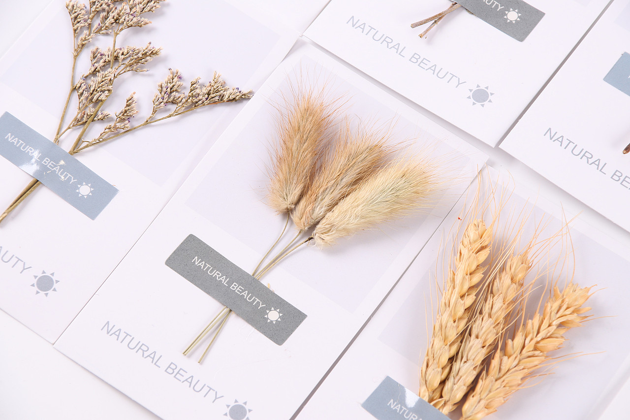 B08节庆礼品\C04-装扮用品\V05卡片