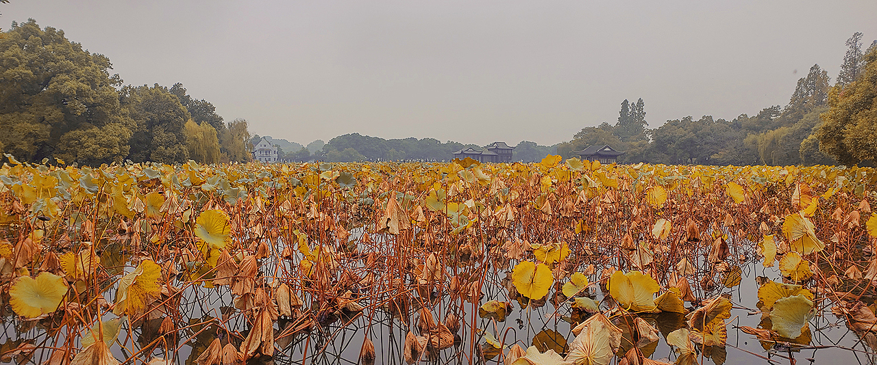 《韵·杭州》（图ZMTY4OTY4ODU2） - 人文/纪实摄影 - 站酷设计师大脸夏夏子原创素材 - 站酷ZCOOL