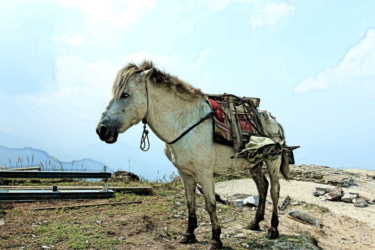 我身骑白马啊,走三关;我改换素衣 回中原