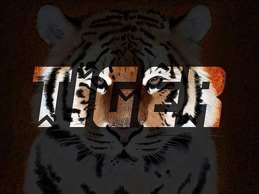 线圈插画-老虎