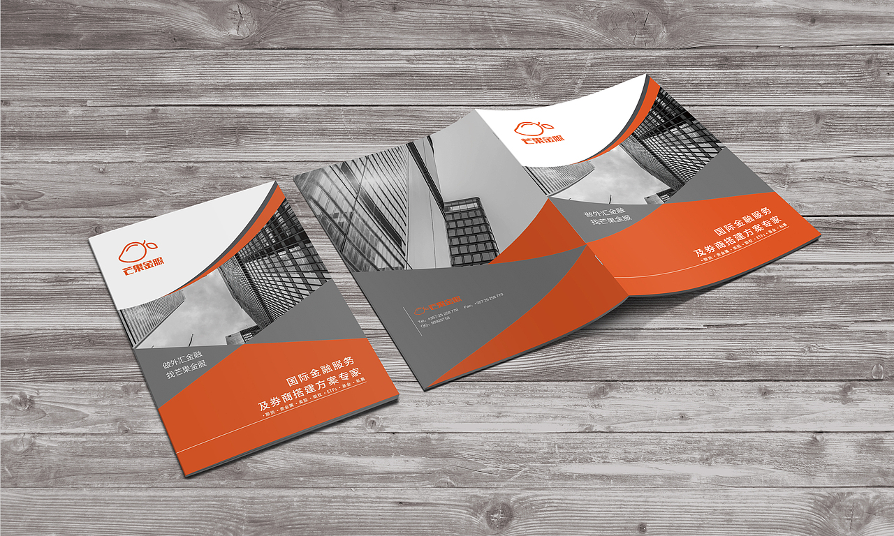 芒果金服--金融画册