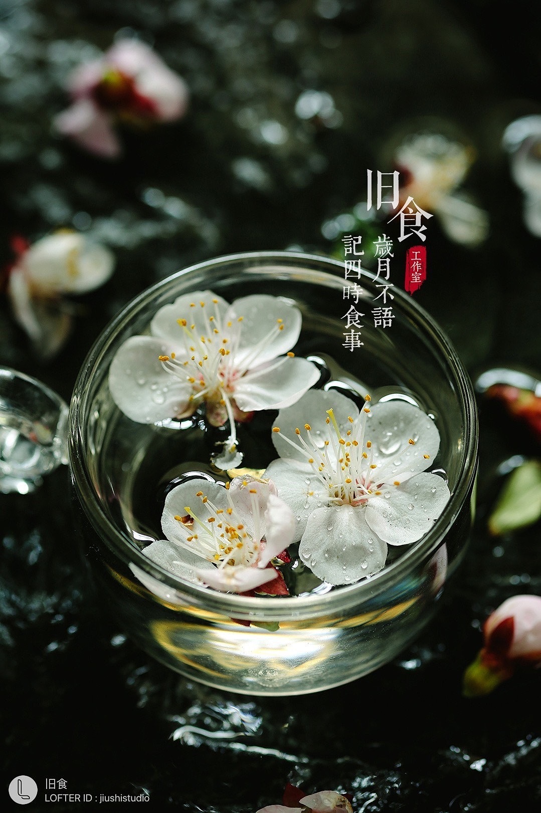 一组花朵（图ZMjU0MDQ5NzMy） - 其他摄影 - 站酷设计师旧食原创素材 - 站酷ZCOOL