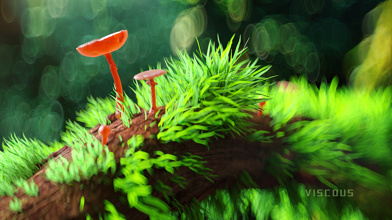 2019年4月份C4D作品/（Daily practice） 