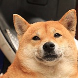 喝咖啡的二狗子的头像