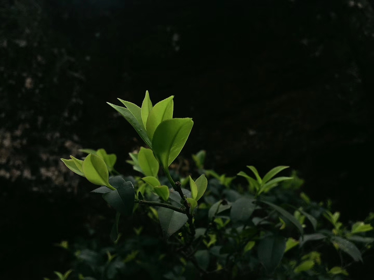 摄影（图ZMTk5NTQ0NTAw） - 风光摄影 - 站酷设计师方尽一原创素材 - 站酷ZCOOL