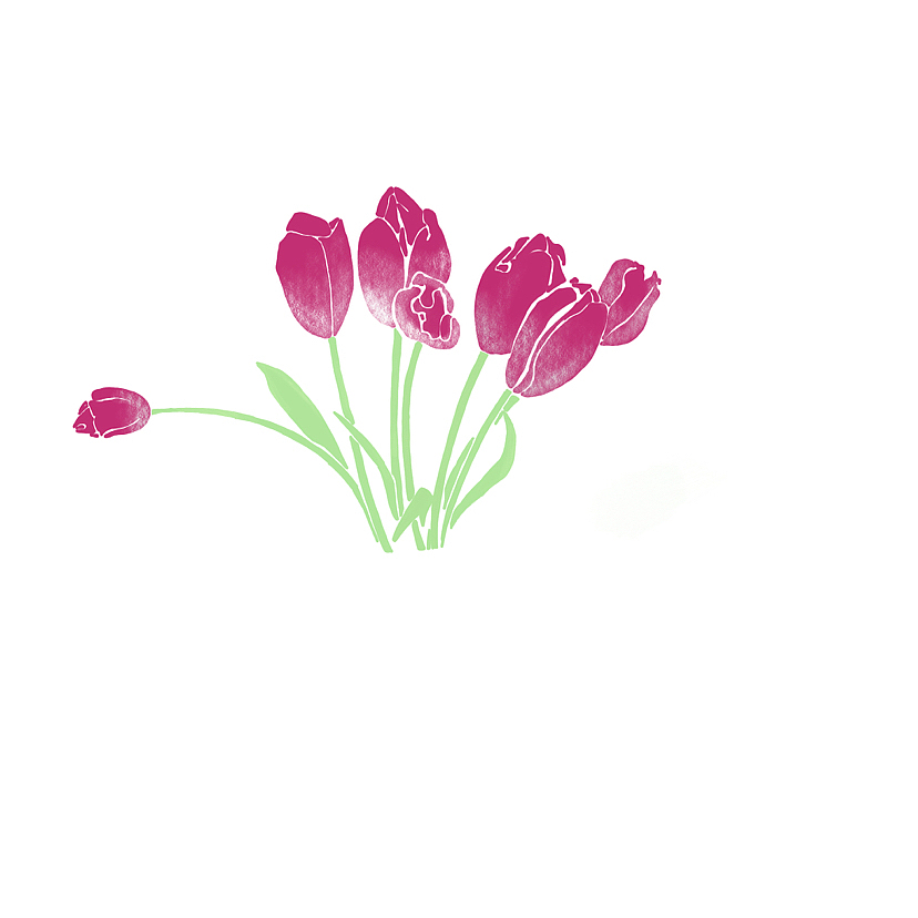 粉色郁金香的插画（图ZMzQ3MDQ1MTQw） - 艺术插画 - 站酷设计师Z252297008原创素材 - 站酷ZCOOL