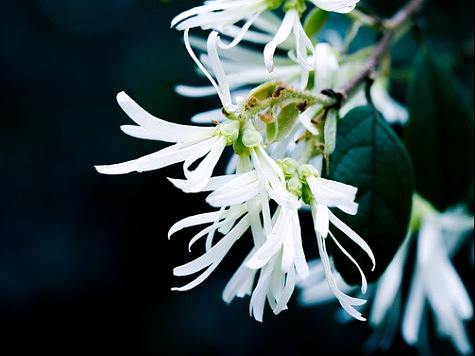 踏青賞花（個人主頁-ZMjY3NDE1MzY=） - 風(fēng)光攝影 - 站酷設(shè)計師為自己寫一個故事原創(chuàng)素材 - 站酷ZCOOL