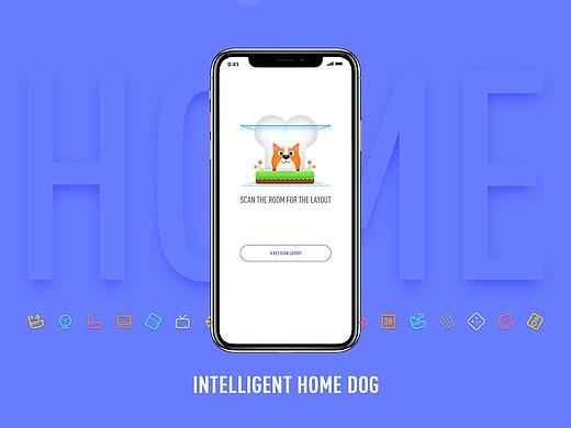 智家犬APP-概念化设计