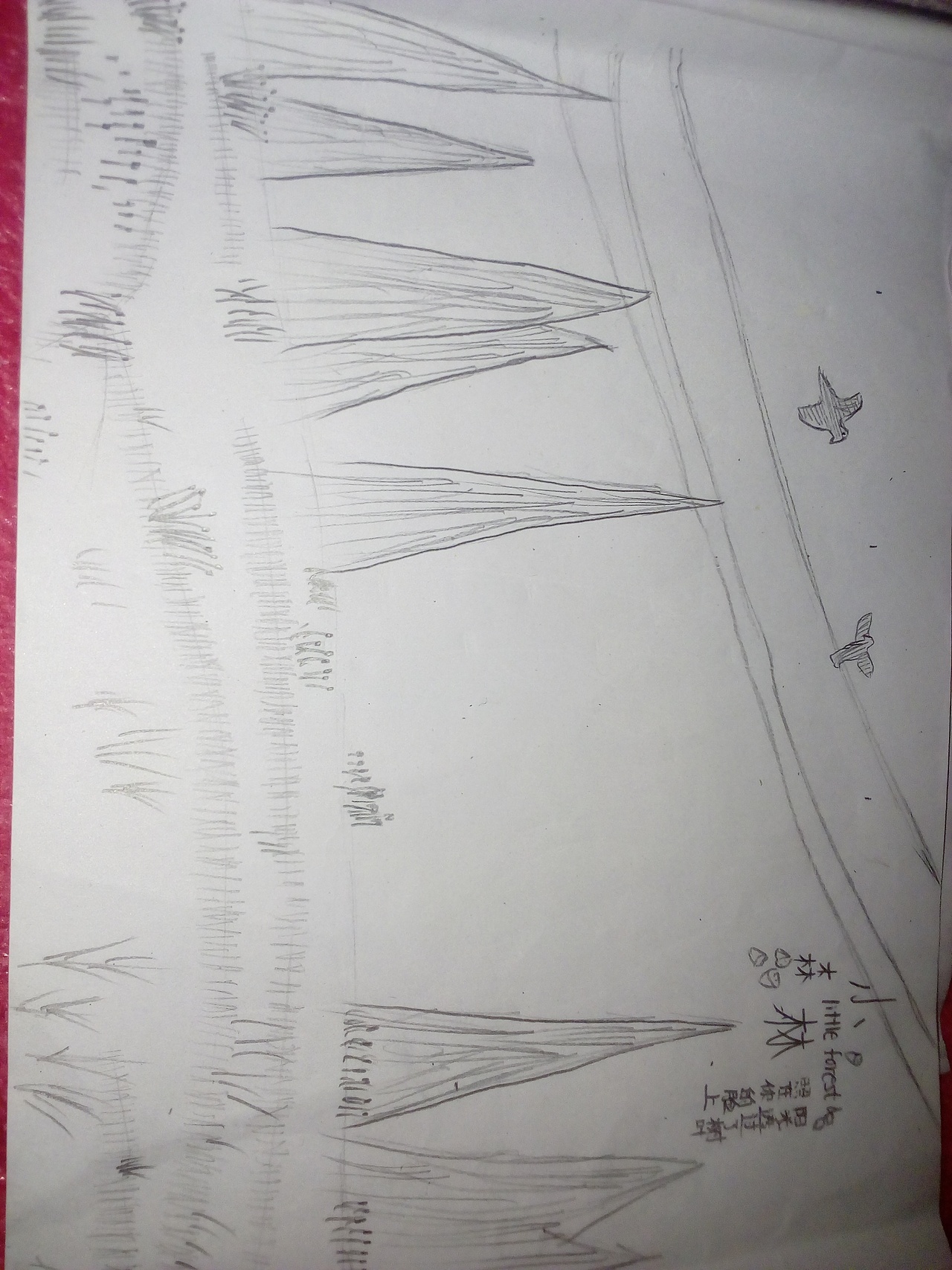 属于我自己的设计