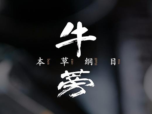 牛蒡茶包装