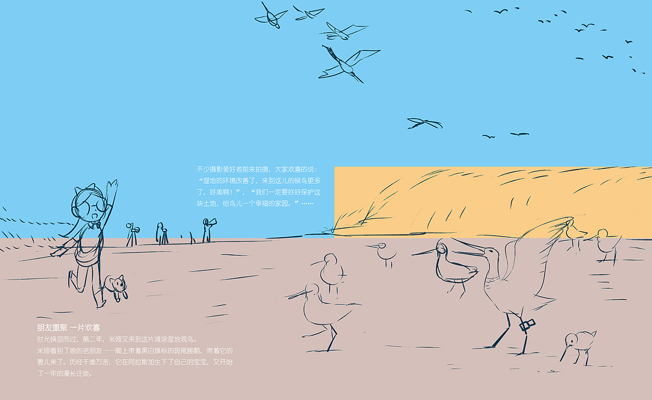 科学绘本分镜-《湿地的鸟类》