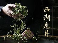 茶叶参考